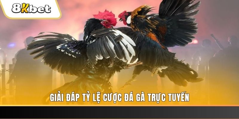 vin7777 ga choi cau thanh