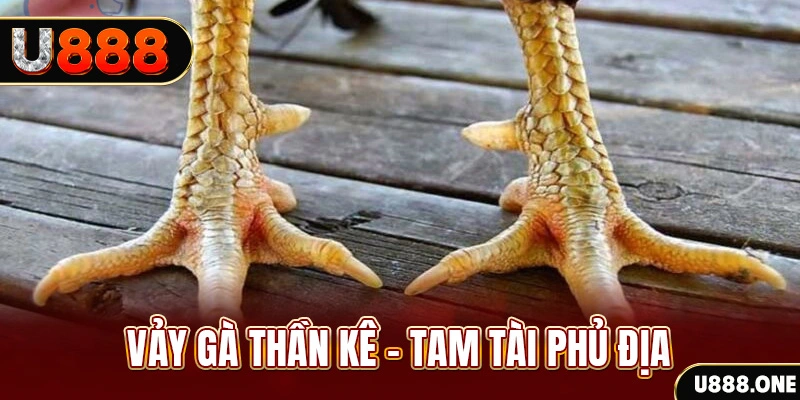 vin7777 xổ số miền trung thứ hai hàng tuần