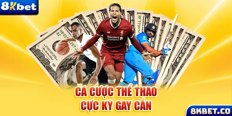 vin7777 xem đá gà trực tiếp